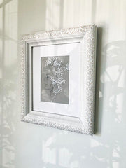 Anne's Lace II - A Pencil and White ink Drawing