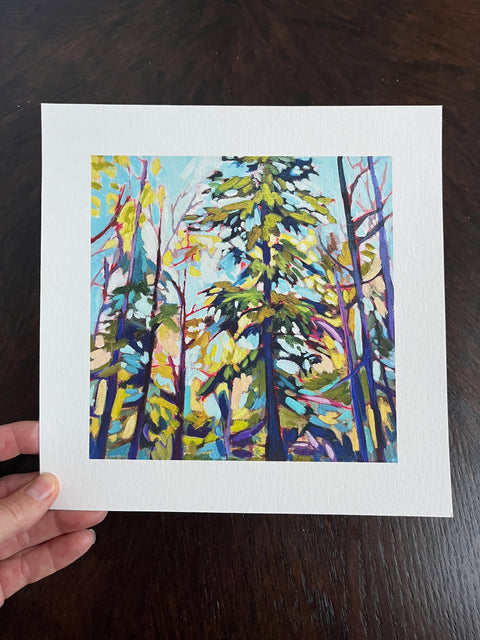 Into the Woods - a Muskoka square print