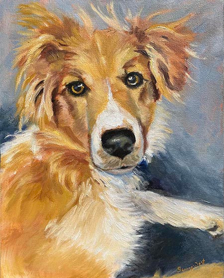 Custom pet portrait painting from photo of a sweet golden dog with brown eyes and white paws
