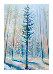 pine tree print of a tall pine tree in the Canadian forest