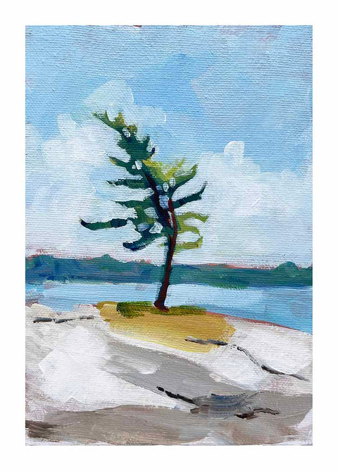 a lake wall art print of a windswept pine tree growing on rocks by a blue lake in Muskoka