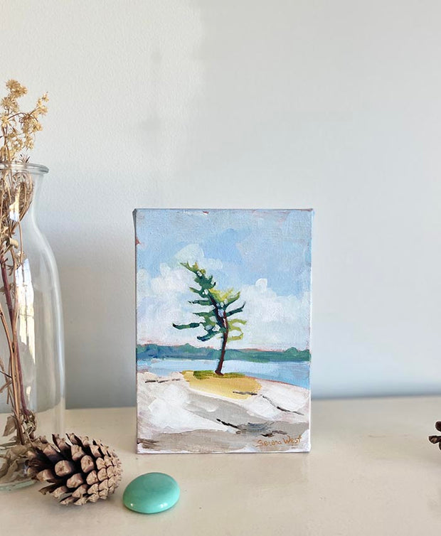 a painting of a windswept pine grows on white rocks near a beautiful lake in Muskoka