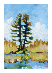 a lake print of Muskoka pine trees growing beside a calm lake